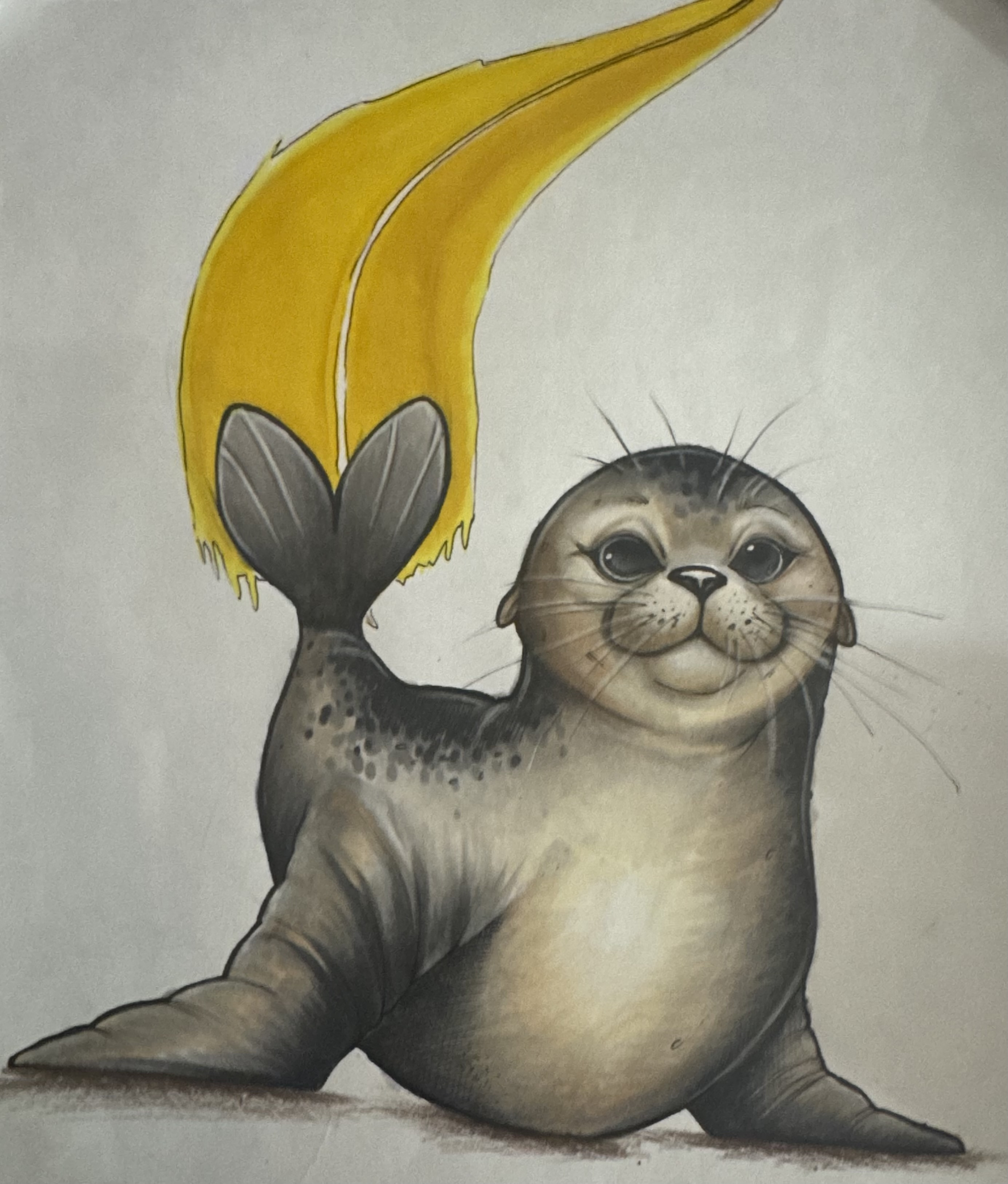 Sealy Striping Solutions logo